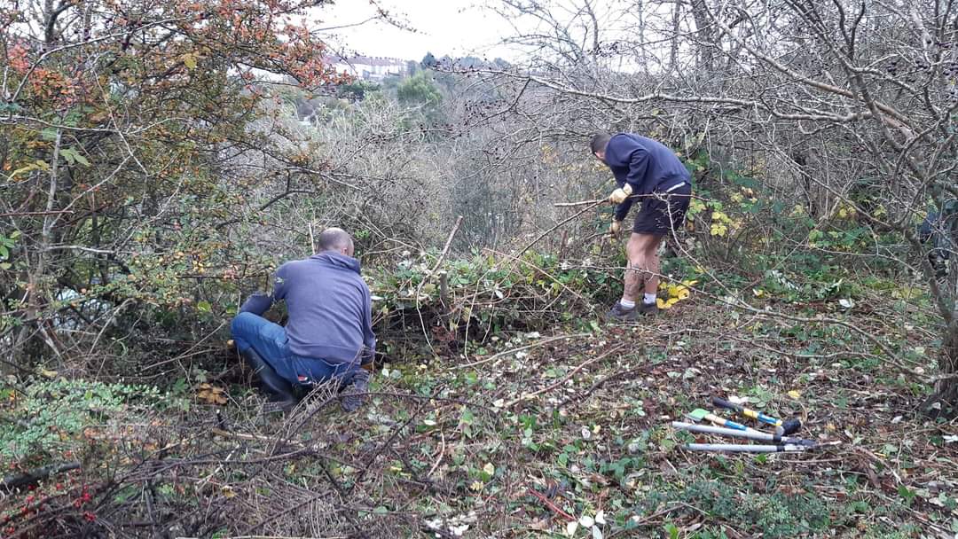 RoyateHillLNR's tweet image. It's been lovely this last month to be able to get out on the reserve to start implementing our new management plan and use our new tools funded by @HeritageFundUK and supplied by the brilliant @CothamHardware