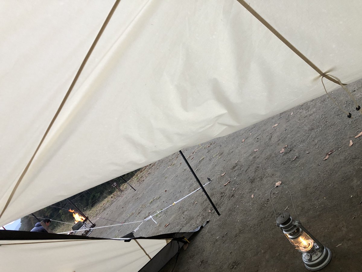 ノリビ@キャンプ tweet media