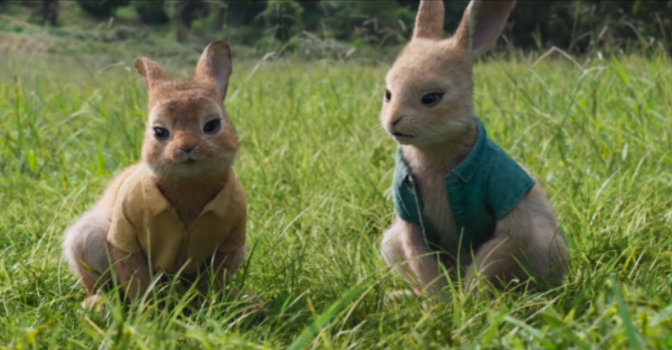 Rabbit2020_blu's tweet photo. BLU-RAY ピーターラビット２／バーナバスの誘惑 完全版 —2020 完全版
ピーターラビット２／バーナバスの誘惑 完全版 — 2020 完全版
ピーターラビット２／バーナバスの誘惑オンライン見る【Peter Rabbit 2—2020】完全版動画
ピーターラビット２／バーナバスの誘惑 完全版2020HD -1080P ダビングジャパン https://t.co/Q85jIOxtoo