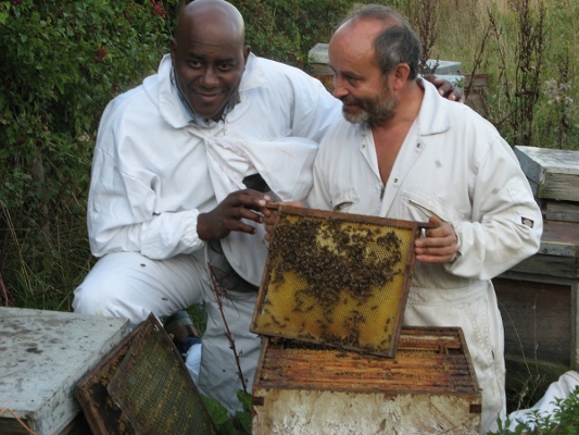 BHP Queens is now on twitter! Discover more about some of the best queen bees in the UK on our website. Order now for 2021 bhpqueens.co.uk #beekeeping #requeening