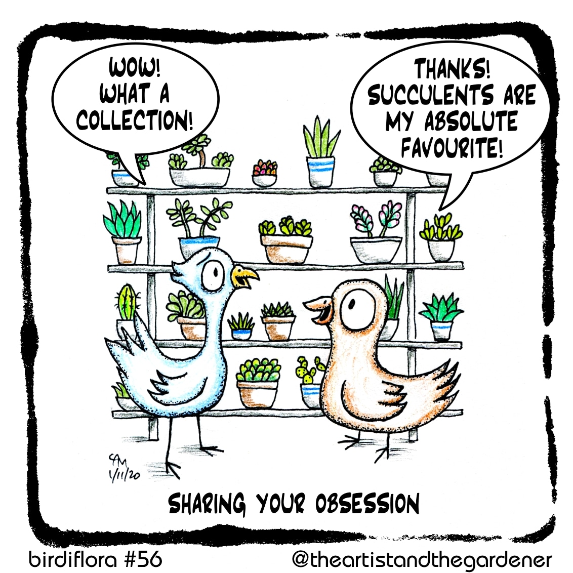 This one is for all the fans of #succulents! #birdiflora #webcomic #plantlover #plantcomic #birdcomic #plantshelf