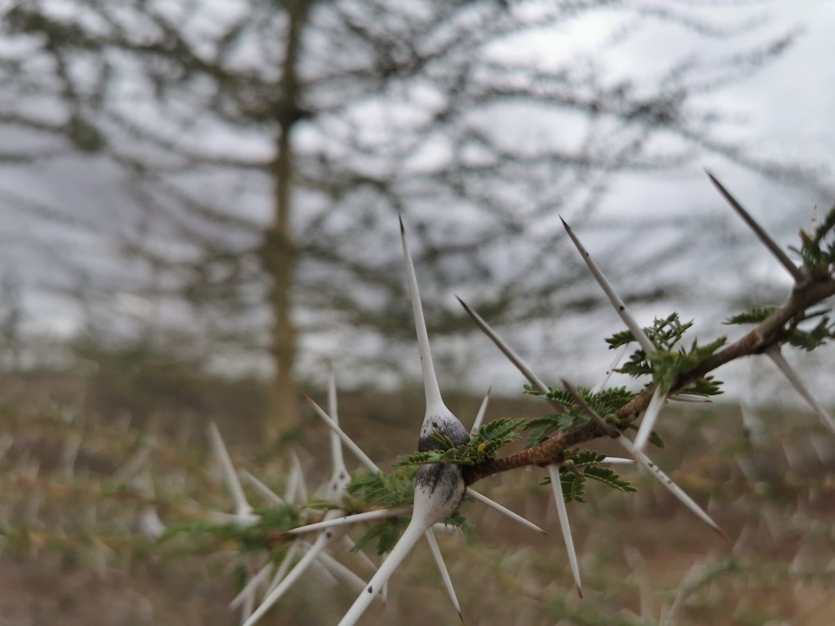 Bruh, it's tough out here. The roads need to be done all the way up. &ndash; bei  Habaswein