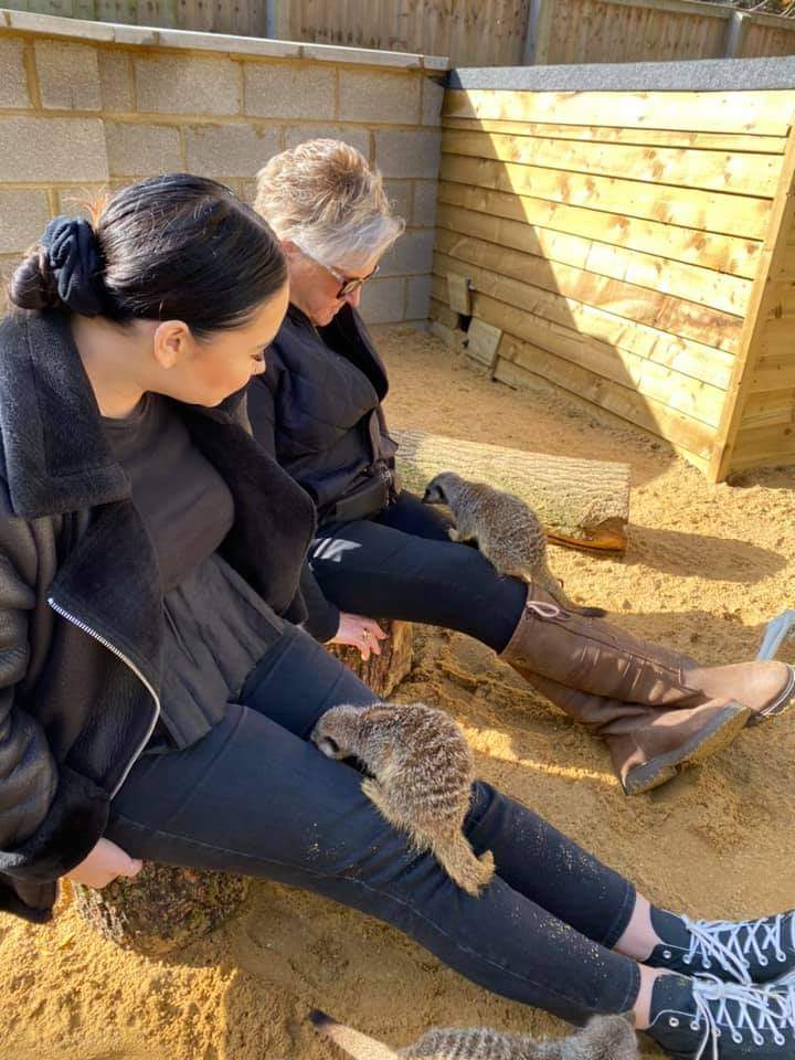 With Halloween over with why not be as wise as an owl and perhaps include an ultimate experience or a meerkat experience as a Christmas present and meet the animals for yourself?!

#meerkats  #experiences  #animals  #essex  #birdsofprey  #exoticanimals