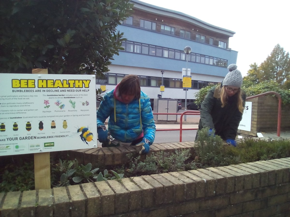 Our Beehive team have continued to tend their bee-friendly borders outside St Bartholomew's GP surgery, in collaboration with Wild Oxfordshire. Last week they used sage and clover to fill some gaps in the borders to make them bee-friendly! It's work to be really proud of ❤️