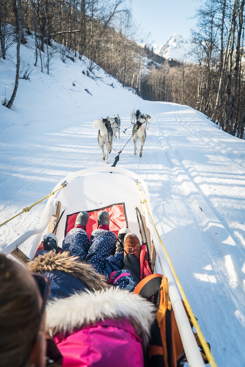 LesMenuires's tweet photo. Activité | Avez vous déjà testé les balades en #traineau à #chiens 💗
#lesmenuires #friendlymenuires #savoiemontblanc #jeredécouvrelafrance
#dogsledging https://t.co/yHQLLxuvJC
