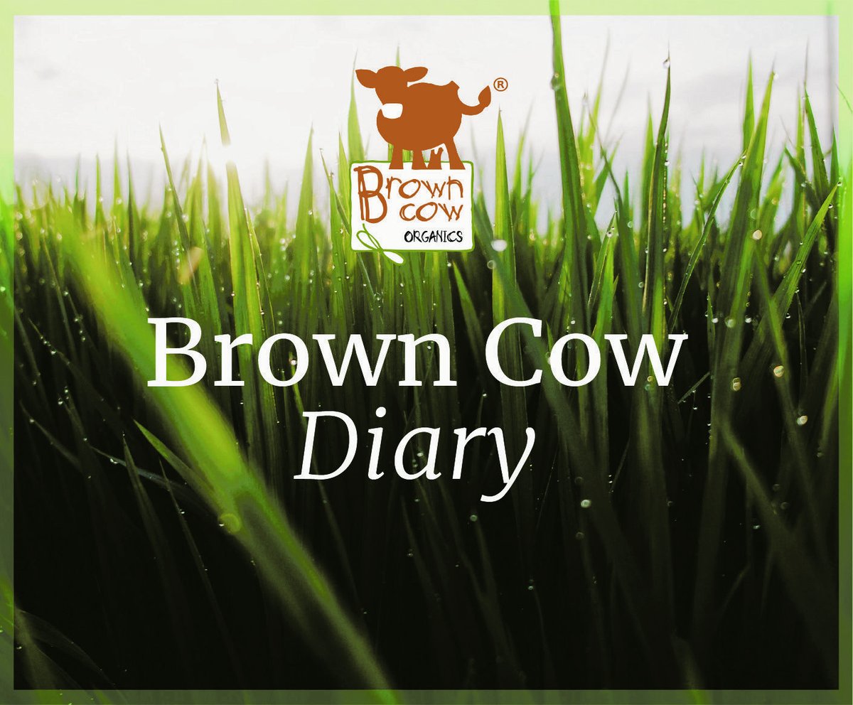 Would you like to hear about my adventures on the farm? Check out our monthly blog here at: browncoworganics.co.uk/blogs/brown-co…

#FarmingLife #youngfarmers #backbristishfarming #womeninag #countrystyle #womenwhofarm #sustainablefarming