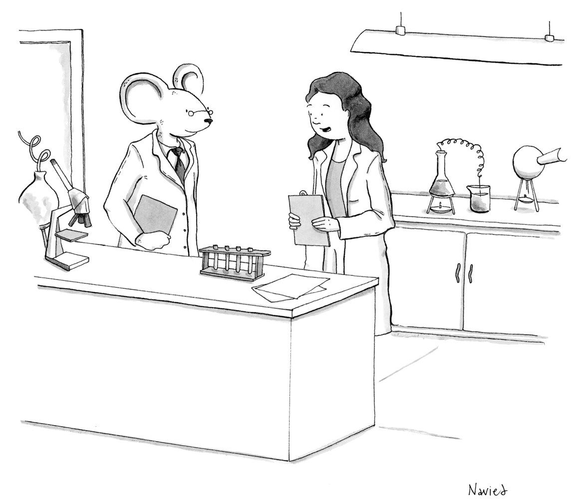 doc_nad's tweet image. The Finalists!
My Entry in The New Yorker Cartoon Caption Contest #730 buff.ly/2TJ2wNB #NaviedMahdavian #labmouse #mouse #TheNewYorker #Cartoon #CaptionContest