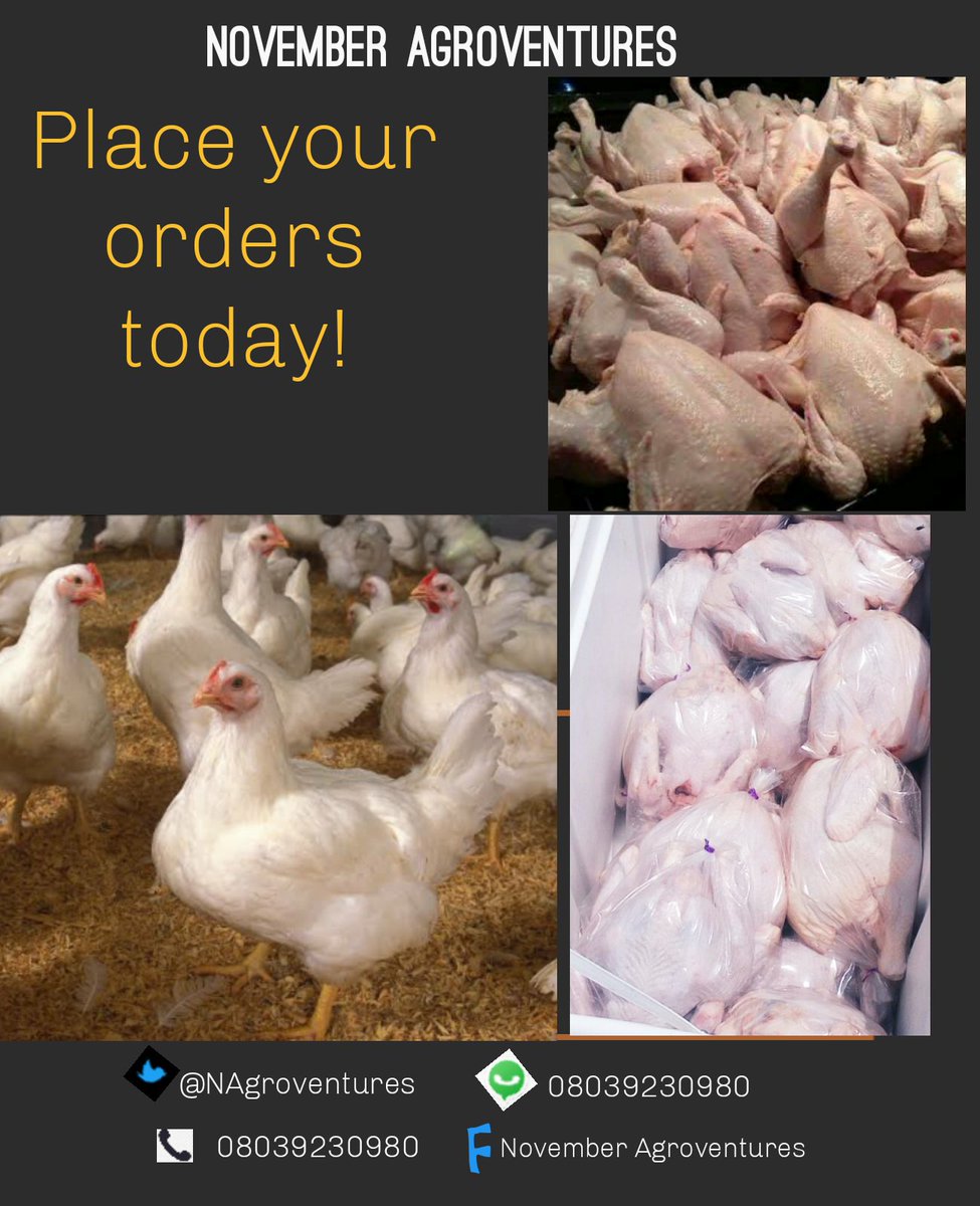 NAgroventures's tweet photo. Our organic chicken that is 100%farm fresh and free of preservatives is still available for order. We supply at reasonable prices to malls and stores. For your small party or family consumption, whichever way u want it, life or dressed, we can deliver too. Contact us today! https://t.co/6BoDxWYDCL