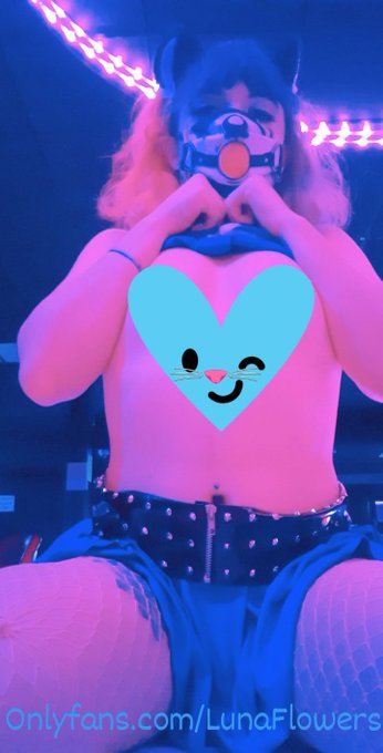 My fansite is 50% off right now! https://t.co/pSowsgLnd9 https://t.co/k00yRExDLn<a href="/tag/onmfc"class="tags"><span>#onmfc</span></a><a href="/tag/littlelunarlove"class="tags"><span>#littlelunarlove</span></a><a href="/tag/lunaflowers"class="tags"><span>#lunaflowers</span></a><a href="/tag/kawaiic"class="tags"><span>#kawaiic</span></a>