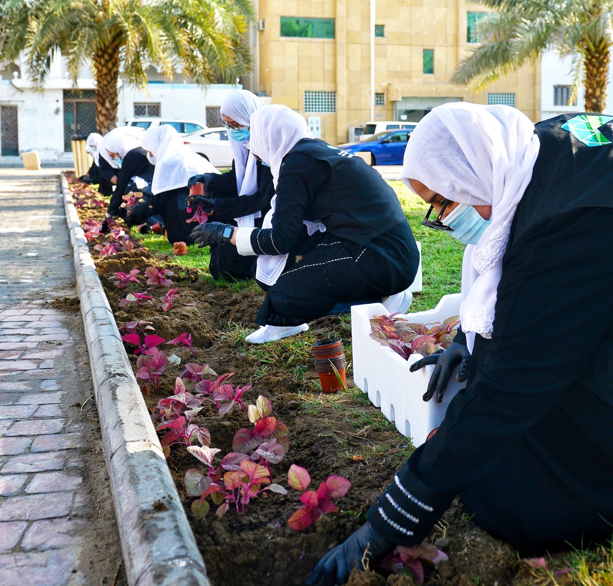 holymakkah's tweet photo. نفذت إدارة التطوع البلدي التابعة
لـ #الإدارة_العامة_للخدمات_الإجتماعية
بـ #وكالة_الخدمات

وبالتعاون مع إدارة تشغيل و صيانة الحدائق ومشاركة (40) متطوع و متطوعة

زراعة 1200 نبتة في حديقة الإيمان
بحي العزيزية

وذلك ضمن سلسلة مبادرة تشجير الحدائق والميادين في #العاصمة_المقدسة . https://t.co/s0UVsZZTLC