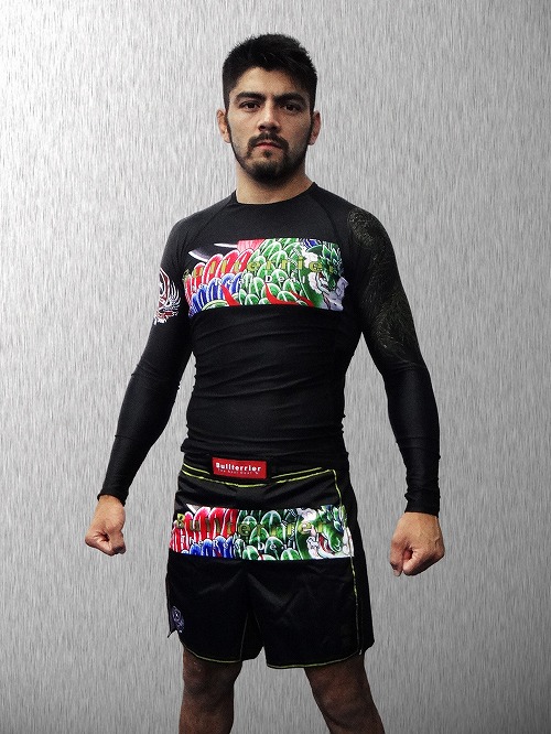 Jiu Jitsu NERD on Twitter: