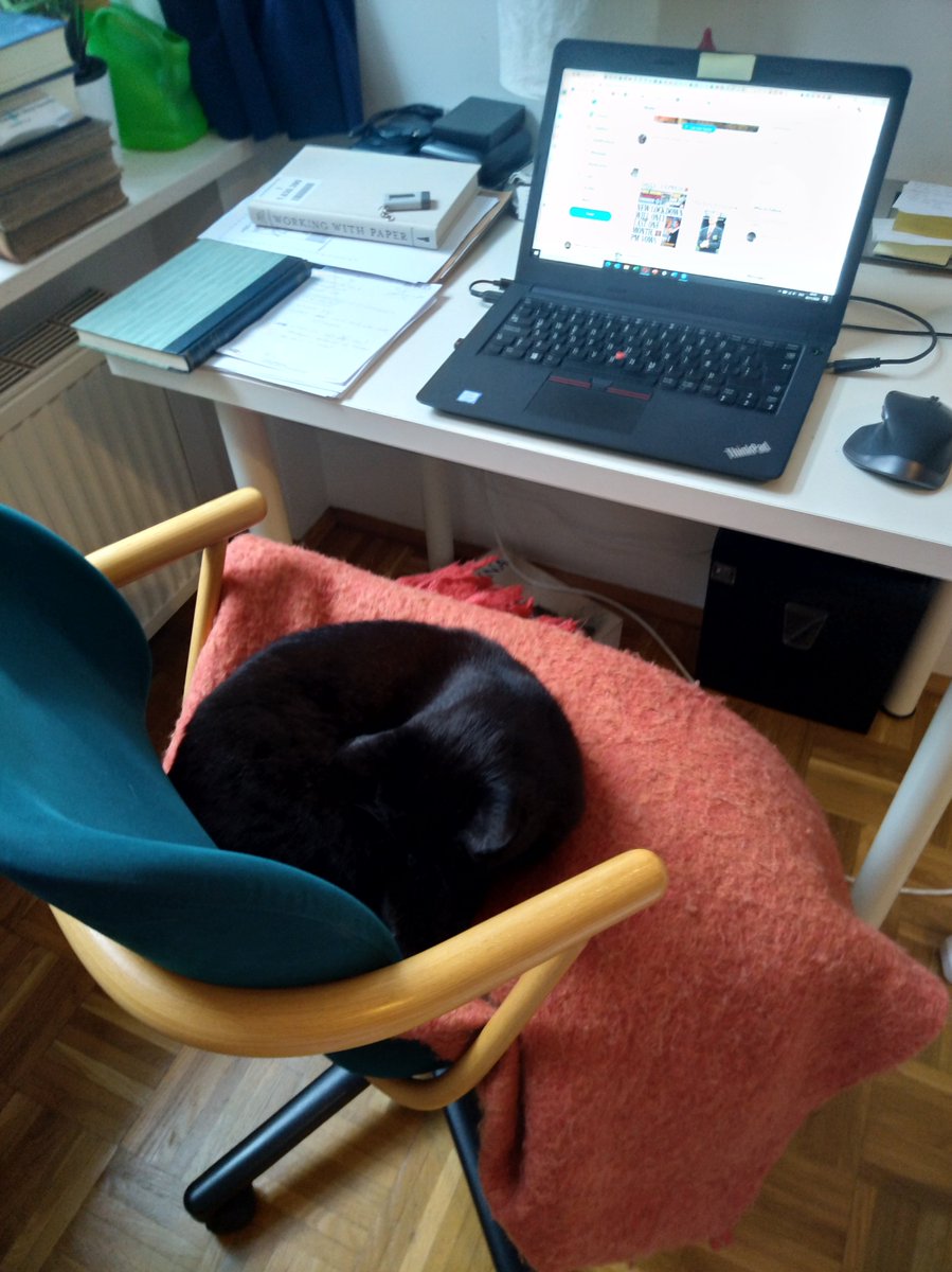 PaperTrailsIS's tweet photo. That was a #first: my #cat stole my office chair as soon as I got up. Now I'll have to work on the sofa. #MyBad #sneaky #YorkshireLad #WhateverMakesHimHappy https://t.co/RxzjbD3sKr