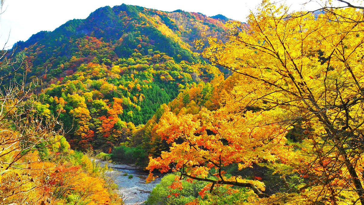 辰野町観光協会 横川渓谷の紅葉が見ごろとなっております 色とりどりの紅葉をお楽しみください 写真は 昨日行われた横川渓谷トレッキングの様子です 蛇石から三級の滝まで片道約3 7キロの往復のコースです 横川ダムからの眺めも最高 辰野町観光協会 横川渓谷の紅葉が見ごろとなっております 色とりどりの紅葉をお楽しみください 写真は 昨日行われた横川渓谷トレッキングの様子です 蛇石から三級の滝まで片道約3 7キロの往復のコースです 横川ダムからの眺めも最高