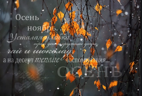 ScaffRu's tweet photo. И вот же - ноябрь! До Нового года осталось... Заказать новую мебель и обновить колесики!))) А вам уже стало страшно? Так это отголоски Хэллоуина). Так что выдохнули и... К нам на сайт! #Скаф #производство #мебель #стеллажи #колеса https://t.co/QbIKNCL6rn