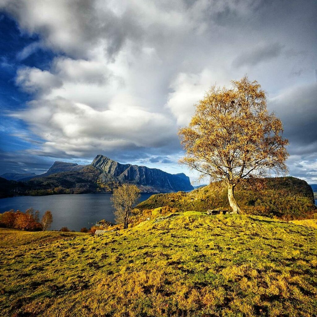 Hyllestad 🥰

📸 @aurlandphotography instagr.am/p/CHFIJX1MKMl/