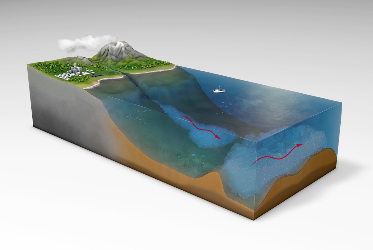 PaleoStu's tweet image. I create illustrations and animations for journal articles, presentations, outreach and any other number of applications. As seen on the BBC etc. Get in touch if you require an illustration or animation! #ScientificVisualisation #SciArt #Science #art