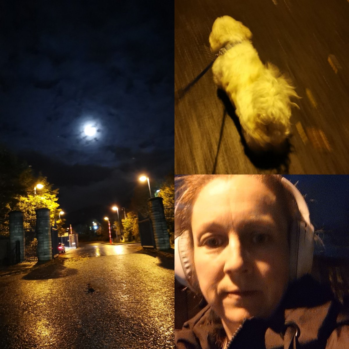 irishbaby251's tweet photo. So kick start to our virtual #RVHEDAROUNDTHEWORLD trip this with an early morning walk before work with my walking buddy number 1...🐶🐶

Lets see how far our ED Team can get around the world @RvhedW #rvhedaroundtheworld #letsgetthosekmup.. #walk #run #cycle #gymsession https://t.co/45rZd8L7ZV