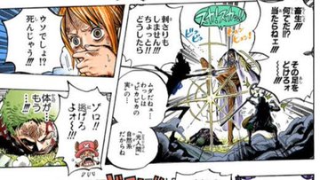 冥王レイリーの悪魔の実の能力は 強さを黄猿と比較 懸賞金 若い頃 名言は