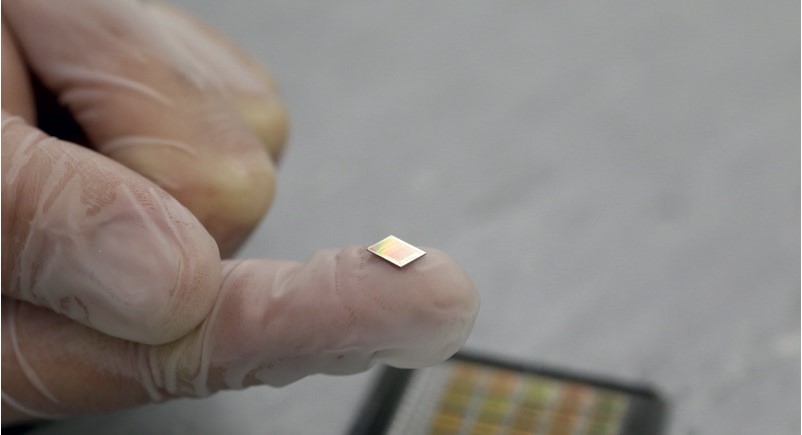 Surfix BV tweet media