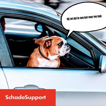 SchadeSupport tweet picture