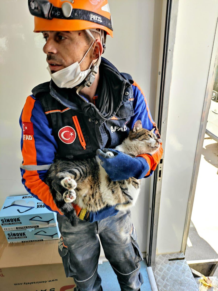 70 saat sonra Rıza Bey apartmanından bir pati daha kurtarıldı 🙏🏻