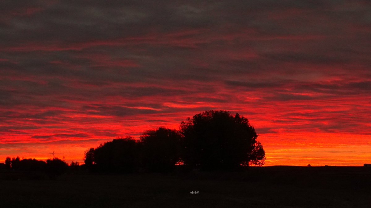 anamaria190977's tweet photo. #Cielo de #NubesRojas
Cantalpino(Salamanca)
@TiempoCyLTV @fcocachom @sacrahh @Mrtxu1 @mongeleon @1AlbertoHerrero @meteocastuera @OrtegahOrtega @ElenaPedrero_ @aquilatierratve @CyLesVida @ARMCHARRO @Keluca16 @fmg_nokia @Adricor_fer @JoannaIvars @RosaliaFdz @Frente_atlantic @llamp_ https://t.co/A51lzb5pvt