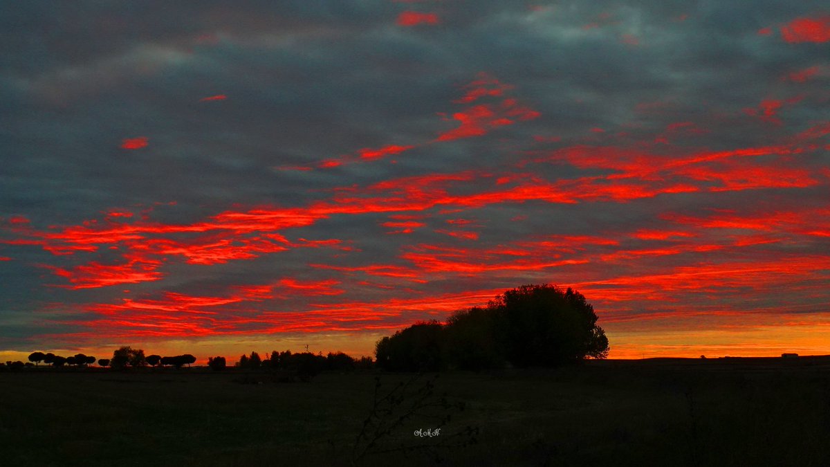 anamaria190977's tweet photo. #Cielo de #NubesRojas
Cantalpino (Salamanca)
@javioru @madorobla @pedro80e @davidlopezrey @marcredondo @MeteoMorella @JuanjoVillena @eltiempoGCM @eltiempoGCM @Fran_Lorenzo95 @DelfinaMonfort @josestormchaser @Gigaherzio @ecazatormentas @AlexMuozGarc @fran40tf @PresumodeMalaga https://t.co/xlHhT49KGP