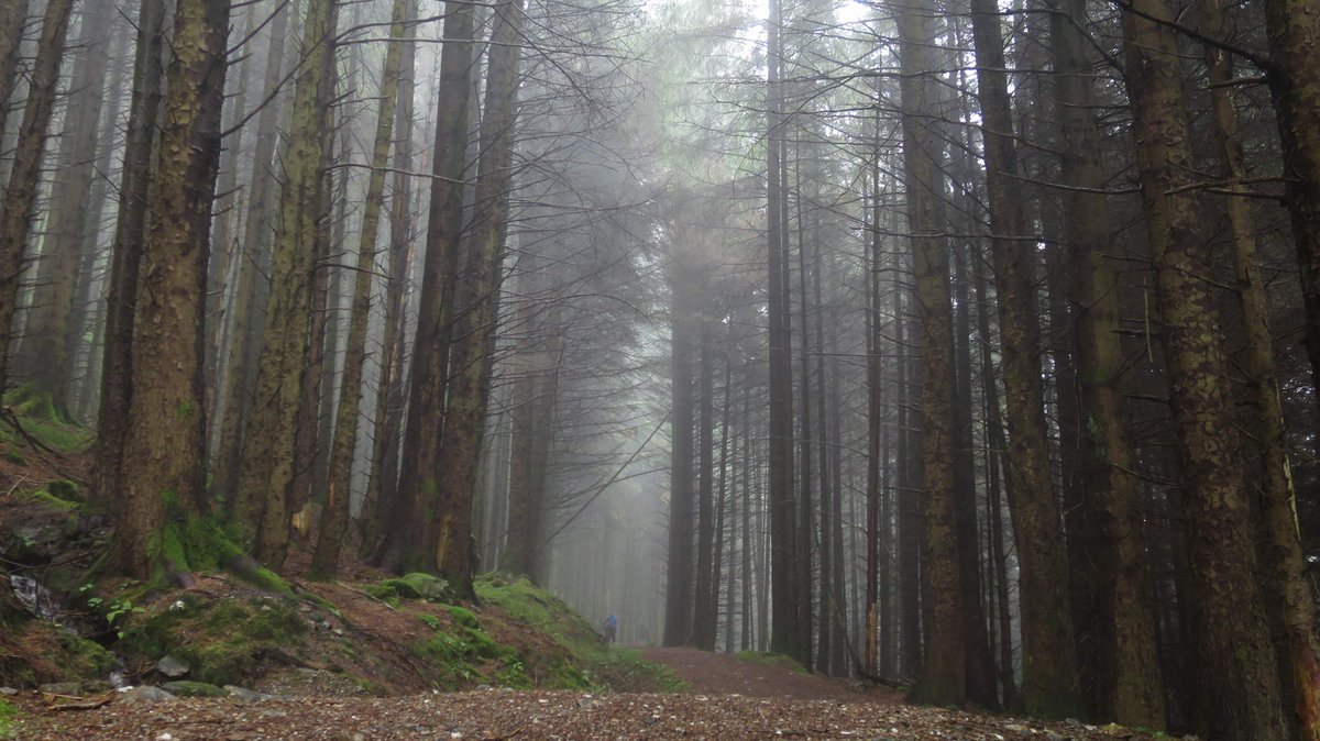 reizkultur's tweet photo. Great to see the @wildaboutargyll Trail mentioned in this #cycling feature from Alex Burns in @heraldscotland: https://t.co/stEguhlKJY You can download the GPX &amp; all information about the route on https://t.co/ZElg1tt4Tv. Please watch this here: https://t.co/KBvjHjbgvk #gravel https://t.co/bbPnJQPqhE