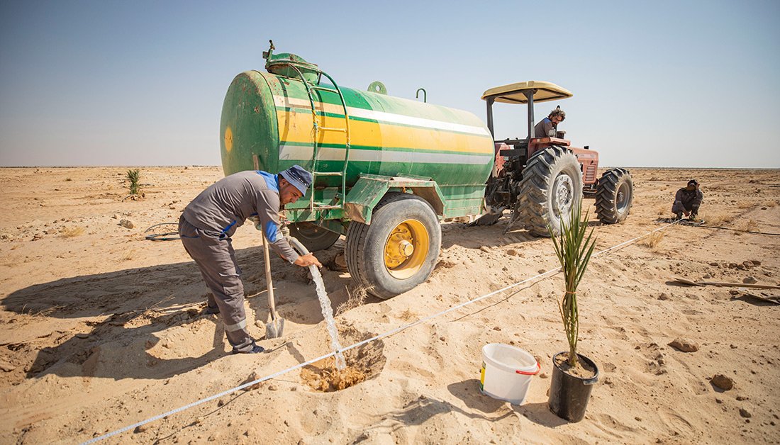 KarbalaAgencyEN's tweet photo. Fadak Date Palm Plantation supplies the local market with premium dates
#fadak
#Premium
#iraq
#karbala
#NaturePhotography
#datetrees
#nature
#Peace
#HumanRights
#humanity
#imamhussainholyshrine
#internationalmediacenter https://t.co/pIKTeNGAAe