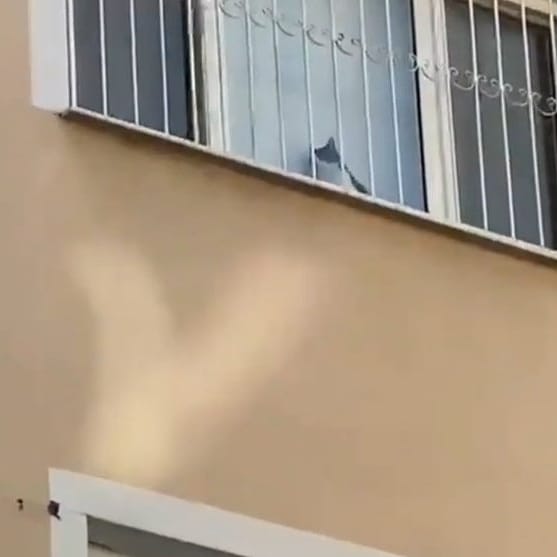 motherofidiots's tweet photo. Fotoğraftaki çocuğa iyi bakın. Şu an enkazın altında en iyi ihtimalle öldü, en kötü ihtimalle günlerce can çekişecek. İnsanları kurtaran köpeklerin başını okşarken, evinde korku içindeki hayvanı nasıl canlı canlı gömebiliyorsunuz?! https://t.co/j0zT2qXWyF