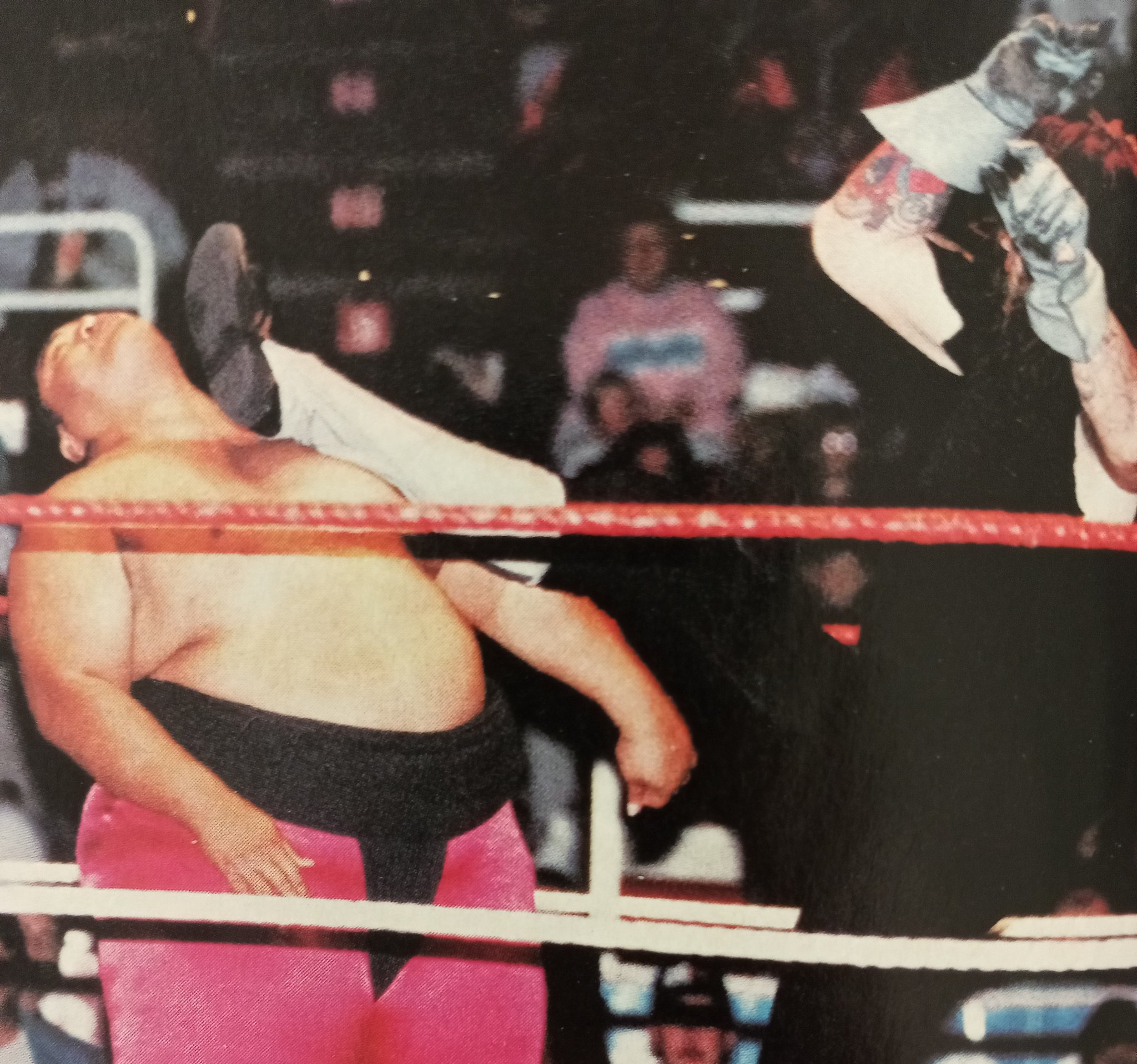 Yokozuna Vs Razor Ramon Yokozuna Vs Undertaker