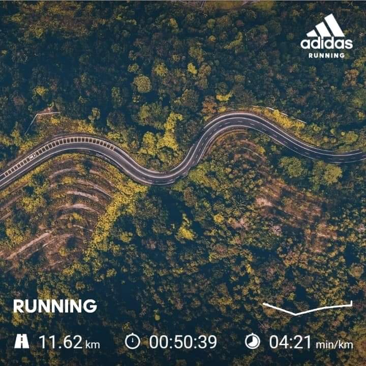 321animate's tweet photo. El #entrenamiento de hoy #Animarunners #FeLiZSeMaNa https://t.co/twUwhwnyol