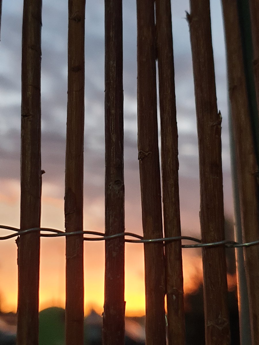 Luisito_mg's tweet photo. 🌄 https://t.co/ADbVODQOB1