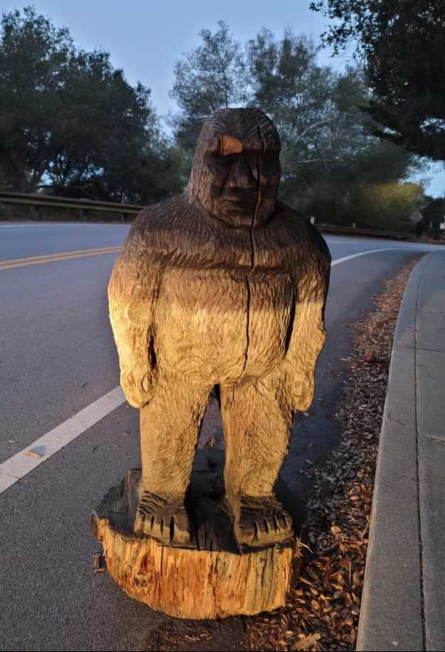 pourmecoffee's tweet photo. Good evening everyone.

"Stolen Bigfoot Museum statue captured by Scotts Valley Police Department" https://t.co/uBQ7Wrs375 https://t.co/PLC0R1GPD5