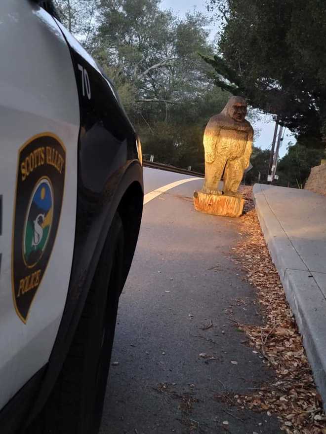 pourmecoffee's tweet photo. Good evening everyone.

"Stolen Bigfoot Museum statue captured by Scotts Valley Police Department" https://t.co/uBQ7Wrs375 https://t.co/PLC0R1GPD5