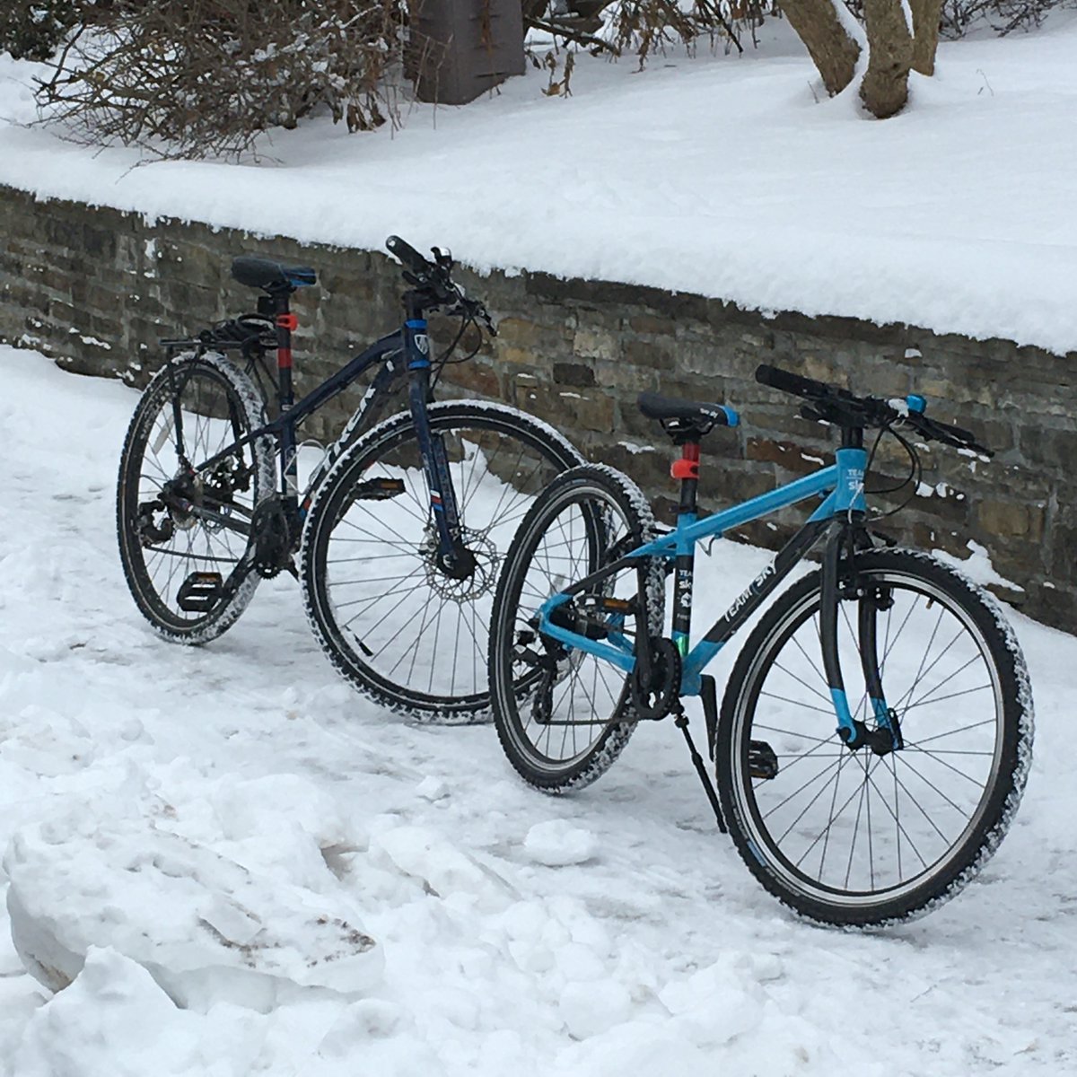 And then, last year - I decided not to stop riding for the winter. We got studded tires for all of our bikes, dressed for the weather, and just kept riding. When the going gets tough, we yell  #VikingBiking at the top of our lungs - it’s an excellent motivator!
