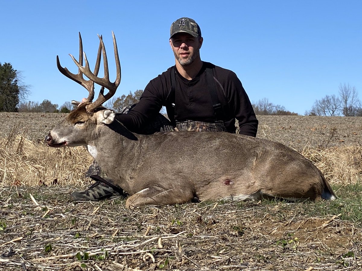 cdknepper's tweet photo. Nice and tall, chocolate rack, rattled him in around 9:30 this morning. He had one of his eyeballs jabbed out, guessing he lost it fighting. Western KY. https://t.co/XFwe7iAbNJ