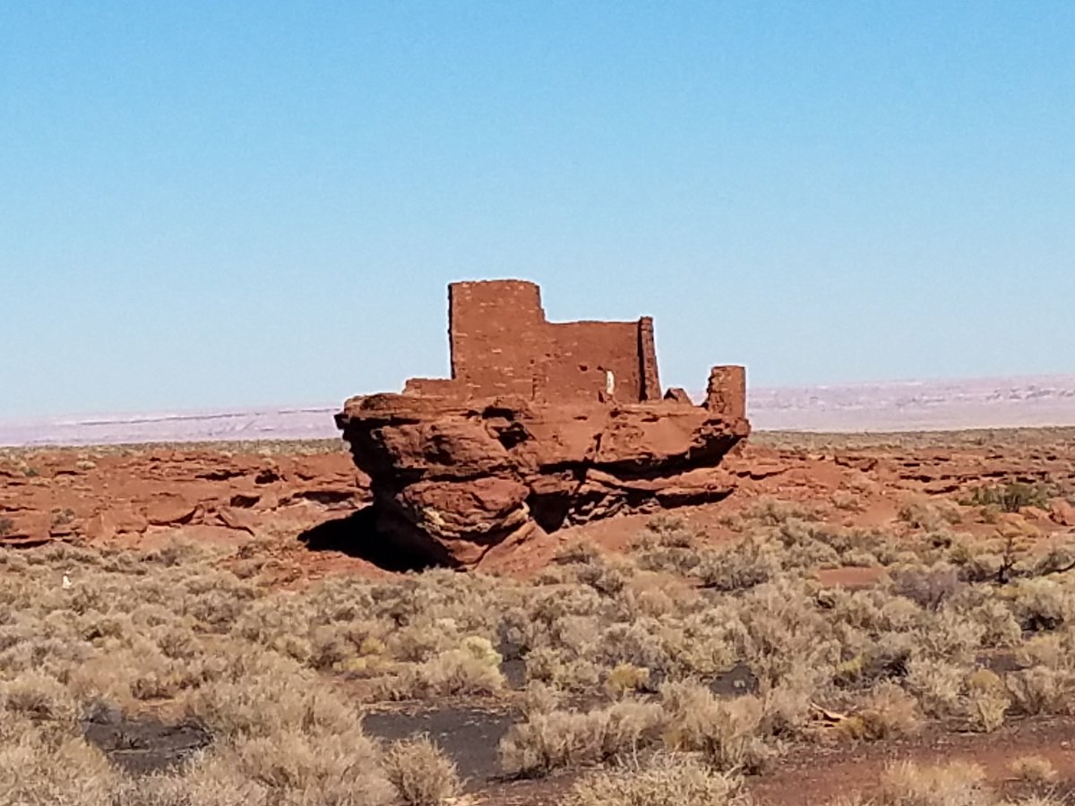 t_jh2009's tweet photo. Today's excursion from #Sedona took me north where I visited the 3 #NationalMonuments (#SunsetCraterVolcano, #WalnutCanyon & #Wupatki) just outside of #Flagstaff. #FindYourPark #EncuentraTuParque #ParkChat #EveryKidInAPark #WeAreParks #LeaveNoTrace #RoadTripChat #NationalParks https://t.co/LNqmvZBUex