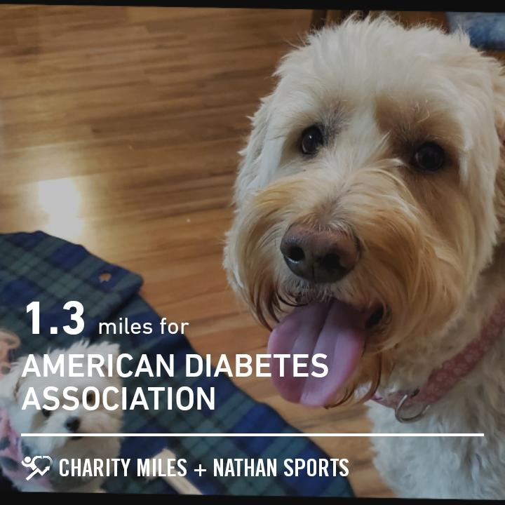 1.32 <a href="/CharityMiles/">Charity Miles</a> for <a href="/AmDiabetesAssn/">American Diabetes Association</a>.
miles.app.link/FchoaB4mtbb