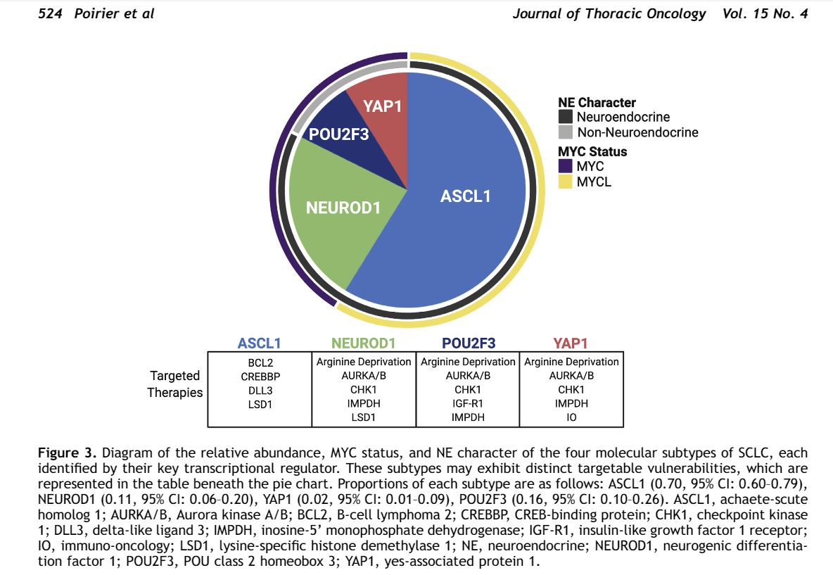So…ready for primetime? NO. Biomarker-based Tx of SCLC remains a pipedream… for now! A lot of work from SCLC researchers predicts different responses to various therapies in transcriptional subtypes of SCLC based on expression of these 4 markers: 2/