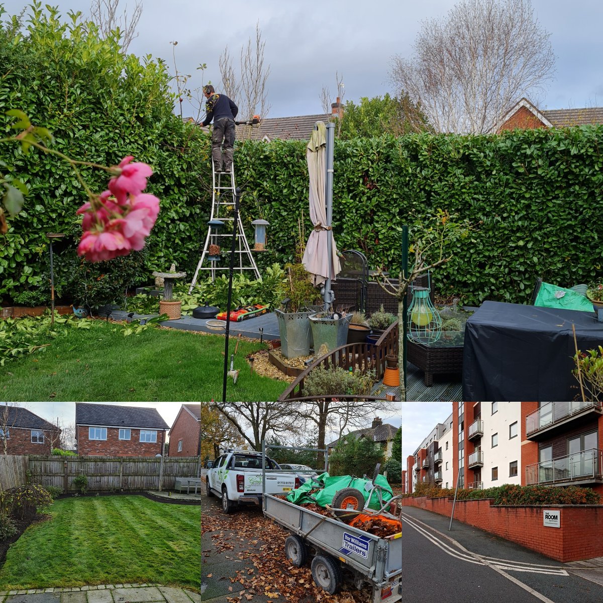 GreenSceneryLtd's tweet photo. Nice to see the sun again recently as those autumn jobs are well underway. https://t.co/uDSH26VspD for all your garden and grounds maintenance needs in #preston and the surrounding areas. #groundsmaintenance #gardenmaintenance #gardener https://t.co/MbSJhFIk3o
