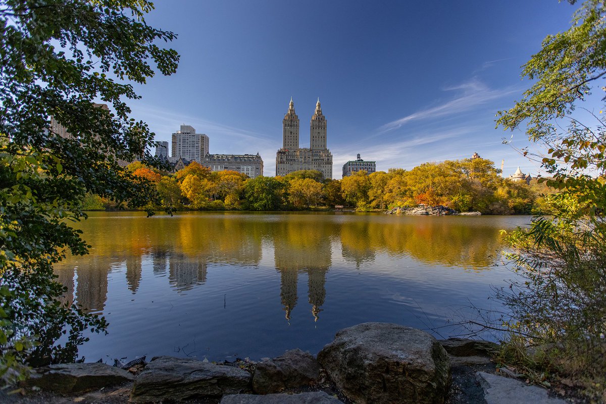 CentralParkNYC's tweet photo. The 2021 Partnerships Lab application is now open! Through the #PartnershipsLab, the Institute for Urban Parks engages in a collaborative process with nonprofit organizations to help them foster great parks &amp; public spaces in cities across the USA: https://t.co/jBgeTH2iVV https://t.co/dUOlKCYOoy