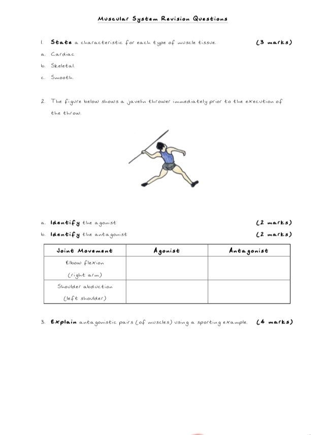 GCSEsimplified's tweet photo. With the #BtecSport Level 3 exam fast approaching in January don’t delay in getting your students the new study guide - a workbook and revision guide combined.
Contains 13 pages of *ALL NEW* questions.
All feedback from schools so far has been great! Don’t wait!
#GCSEsimplifed https://t.co/tVJbCWovij