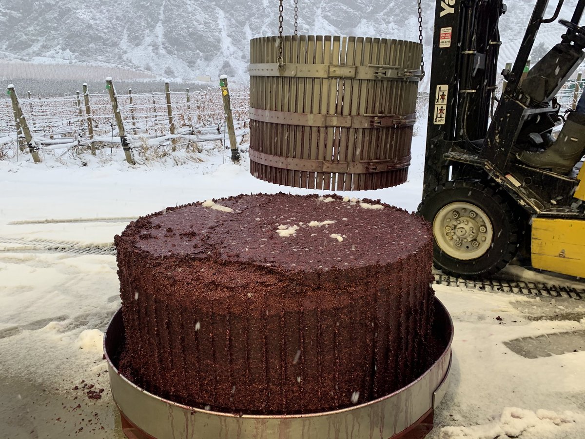 MikeClark_CdS's tweet photo. Press cake of @ClosduSoleil organic #Merlot in a winter wonderland (of sorts). #bcwine #similkameenwine #imcold https://t.co/6ngn7gbhin