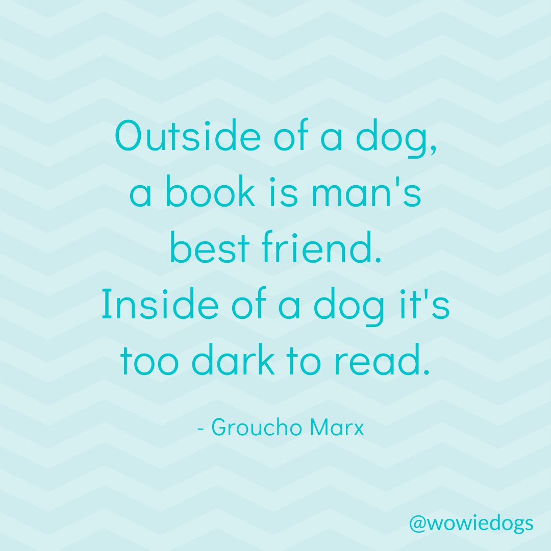 wowiedogs's tweet photo. So very dark π π π€£
πΎ
#doglove #gooddog #quotes #dogquotes #quotestoliveby #dogs #quotesdog #dogquotesofig #wowiedogs https://t.co/wQwczNnxAC