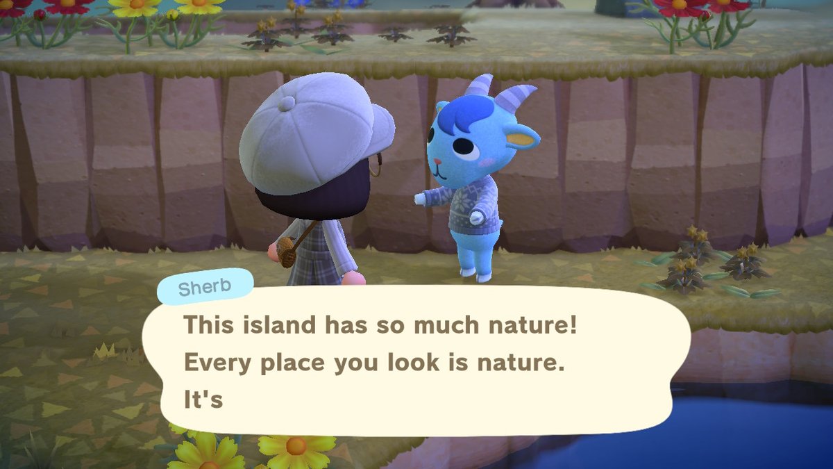 SHOWENXIN's tweet photo. #AnimalCrossing #ACNH #NintendoSwitch https://t.co/ufthUs05Kq