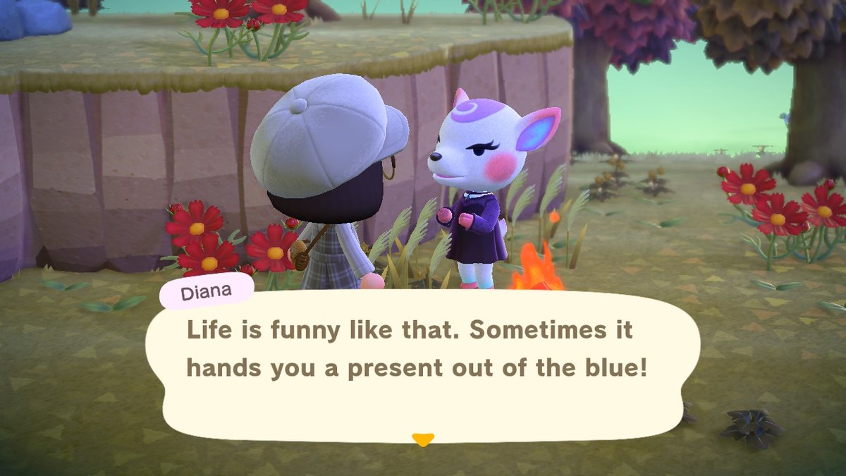 SHOWENXIN's tweet photo. #AnimalCrossing #ACNH #NintendoSwitch https://t.co/ufthUs05Kq