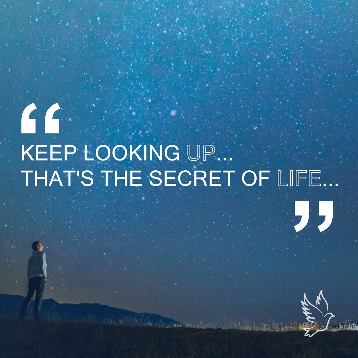 Promise of Hope Foundation tweet media