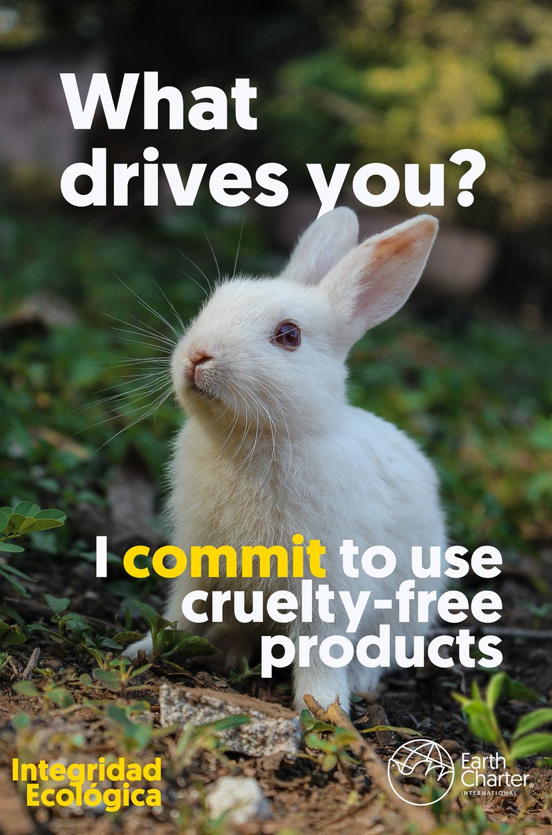 earthcharter's tweet photo. #MyECCommitment Around 500,000 animals around the world suffer and die at the hands of cosmetic manufacturers every year. The best way to prevent companies from using animals is to refuse to buy their products and tell them why you won't use their eyeshadow, detergent, or shampoo https://t.co/26LtIWu6Bf