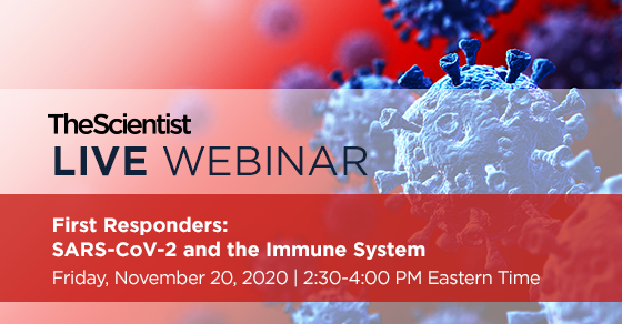 TheScientistLLC's tweet photo. Free Webinar: First Responders: SARS-CoV-2 and the Immune System

Join us Friday, November 20th at 2:30 PM ET. https://t.co/93dyT5ts9k https://t.co/kvcODepgkG